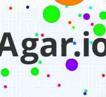 Kako u `Agariu` igrati s prijateljem? Kako igrati `Agario` na jednom poslužitelju?