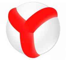 Kako izbrisati predmemoriju u `Yandexu`: uputa za korisnike početka