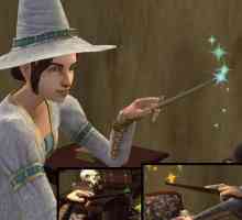 Kako postati vještica u "Sims-2"? Savjeti za početnike