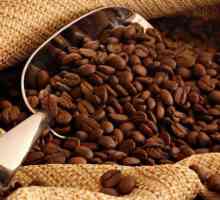 Kako odabrati zrna kave: savjeti