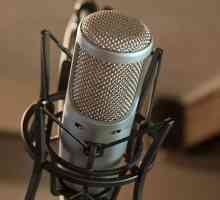 Kako odabrati dobar mikrofon za vokale? Osjetljivost mikrofona