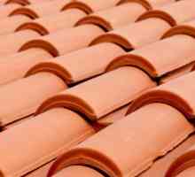 Kako odabrati najbolji krovni materijal za krov. Vrste krovnog materijala za krovove