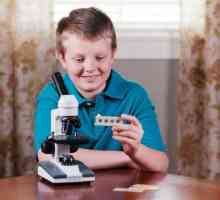 Kako odabrati mikroskop za školskog?