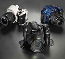 Kako odabrati polu-profesionalnu kameru? Važne točke pri odabiru poluprofesionalne kamere