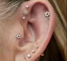 Kako je piercing ušiju: je li hrskava ozlijeđena ili nije?