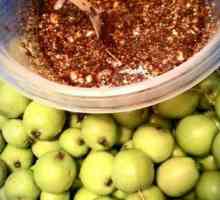 Kako nabaviti zimske mokre jabuke s raženim brašnom i drugim receptima