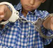 Kako se zakon primjenjuje na prekršaje maloljetnika? Vrste kazne koje se odnose na maloljetnika
