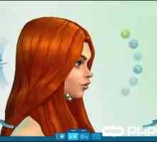 Как запустить Sims 4, или Все о запуске `симов`