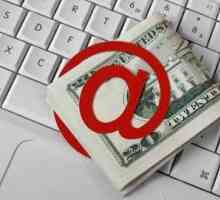 Kako zaraditi novac na Internetu na web mjestu? Načini zarade na Internetu