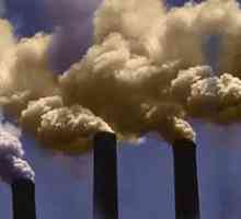 Как защитить воздух от загрязнения? Рекомендации экологов
