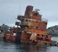 Kako je cruiser "Murmansk" živio i umro