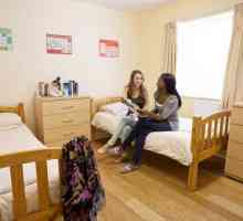 Kako studenti žive u hostelu, koliko su udobni tamo?