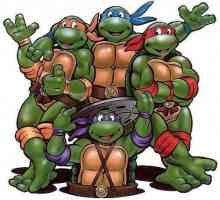 Koji je naziv ninja kornjače? Tko je tko među zelenim superjunakima