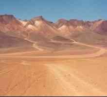 Koja je velika pustinja u Južnoj Americi? Jedna od najvećih pustinja svijeta u Južnoj Americi