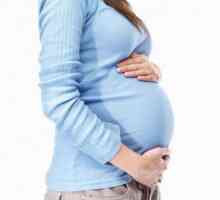 Koja je norma šećera u krvi tijekom trudnoće?