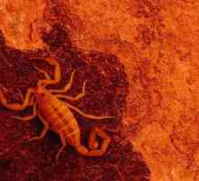 Koji je planet zaštitnik Škorpiona