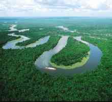 Koja je rijeka duža: Amazon ili Nil? Usporedba duljine Nila i dužine Amazone