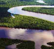 Koja je najduža rijeka na svijetu? Značajke Amazon