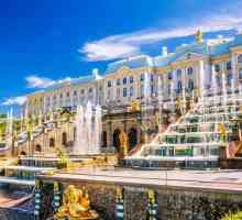 Koja je najduža ulica u St. Petersburgu?