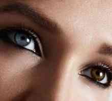 Koja je struktura ljudskog oka?