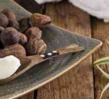 Kakao maslac za kosu: značajke primjene, recepte i recenzije