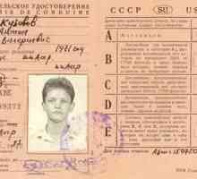 Koje su kategorije vozačkih dozvola u Ukrajini