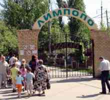 Koji su zoološki vrtovi u Nizhny Novgorodu?
