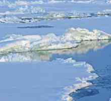 Koji kontinenti opiru Arktički ocean? Njegove značajke
