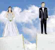 Koje dokumente su potrebne za razvod s djetetom? Gdje bih trebao podnijeti zahtjev za razvod?