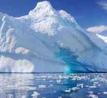 Koji ocean oprati Antarktiku? Klima i ekosustav Antarktike
