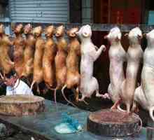 Какие породы собак едят корейцы
