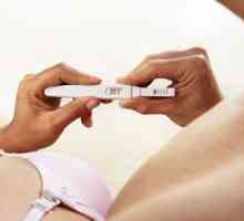 Koji znakovi trudnoće mogu biti zapaženi u ranim fazama?