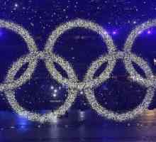 Koji su bili sportovi na Olimpijadi 2014.? Novi olimpijski sportovi na Sočijanskim olimpijskim…