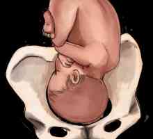 Što je prezentacija fetusa tijekom trudnoće?
