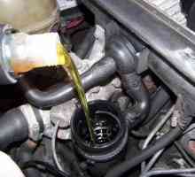Kakvo ulje se ulijeva u motor? Savjeti za vozače