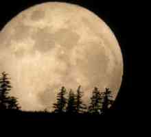 Koje je nebesko tijelo veće - Mjesec ili Merkur? Zašto bi ta nebeska tijela trebala biti korisna…