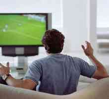 Koji satelitski TV odabrati u predgrađima? Pregled, značajke, recenzije