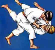 Koji je značenje boje remena u judo