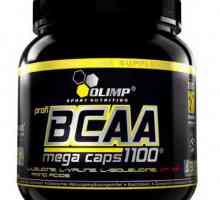 Koji BCAA je najbolji: aminokiseline u prahu, tablete, kapsule