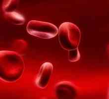 Što bi žena trebala imati hemoglobin: norme i moguća odstupanja