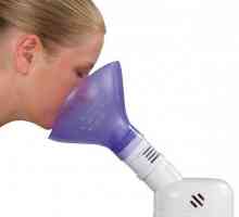 Koji je inhalator bolji: recenzije i preporuke
