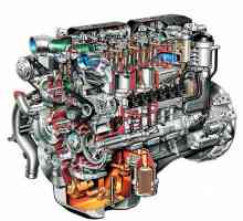 Koja je učinkovitost dizelskog motora? Dizel i benzinski motor