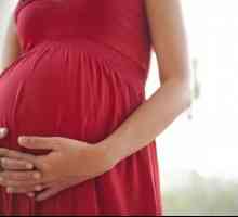 Koja je normalna težina fetusa u trudnoći od 32 tjedna?