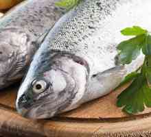 Koji vitamin prevladava u ribi? Zašto je korisno jesti ribu?