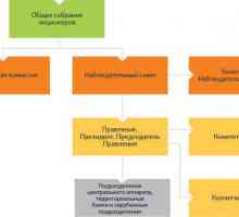 Kakva je organizacijska struktura Sberbank?