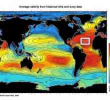 Какова соленость Атлантического океана?