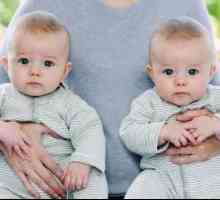 Koja je vjerojatnost rođenja blizanaca? Što određuje rođenje blizanaca?