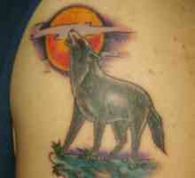 Koje su vrijednosti tetovaža vukova?
