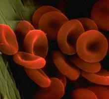 Kakvu ulogu igra arterijska krv u tijelu?
