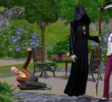 Puna u virtualnoj stvarnosti, ili Kako postati `Sims-3` smrt?
